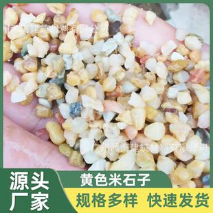 水洗地面地坪米黄色抿石子洗石子石米墙面花坛浅米黄色刷墙石子