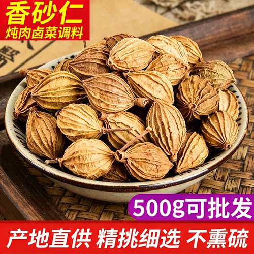 香砂仁川砂仁炖肉卤菜调料