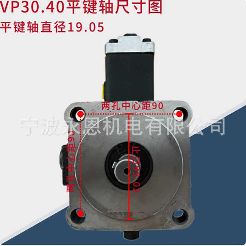 叶片/19vp30vp40 /油泵/低压vp润滑轴花键vp20大变量叶片vp15泵
