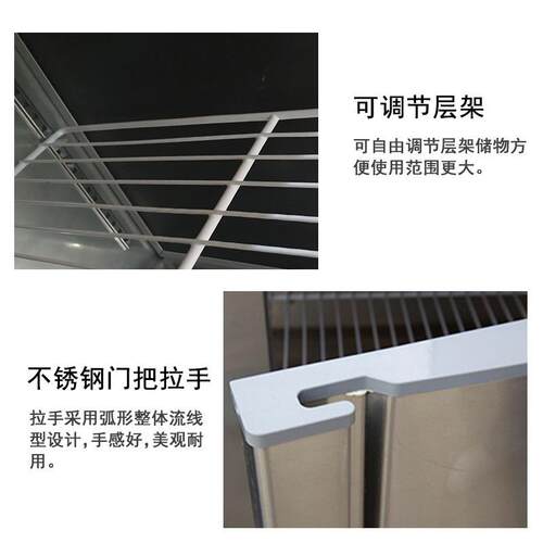 冰柜商用冰箱IXN平鲜冷冷柜冷冻双温柜茶店设备保大容量奶冷柜