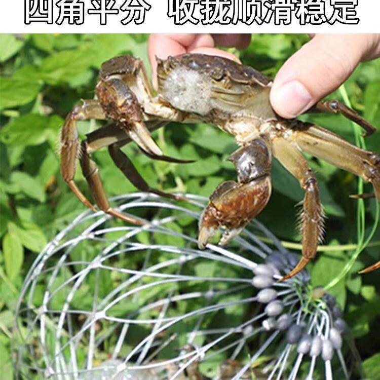 螃蟹笼子蟹笼加粗加重海用折叠海用圆形弹簧笼蟹网抓笼具海钓专用