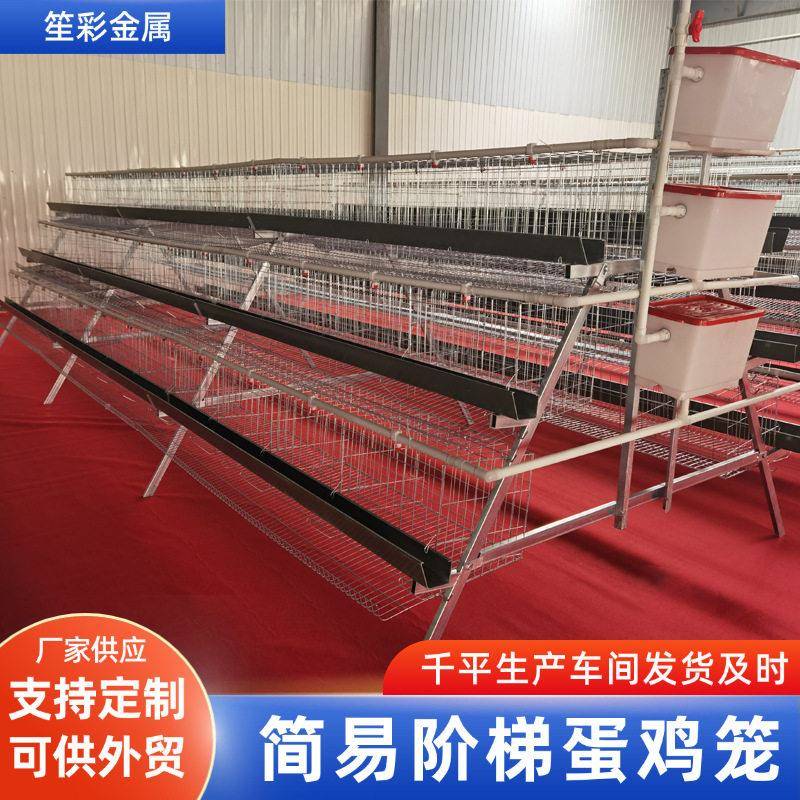 阶梯立体多层蛋鸡笼自带食槽水箱蛋鸡笼热镀锌大型养殖鸡舍鸡笼