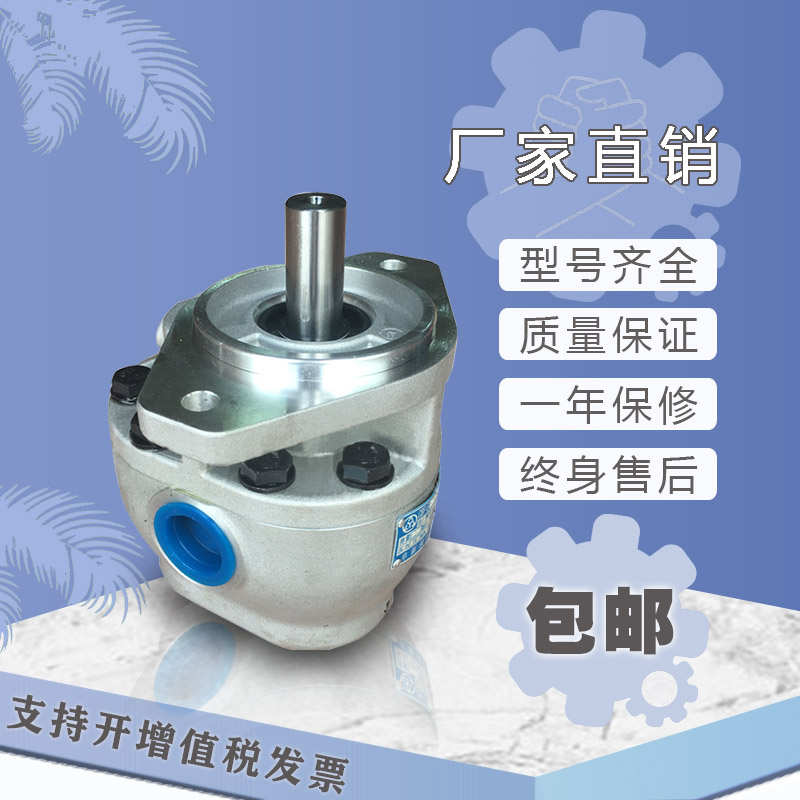 阜新e18p 厂e80alpe32p 齿轮泵高压e25p 液压e10p e63p e40p cbf-