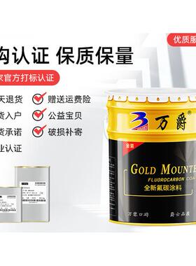 金属不锈喷漆户镀桶锌管入户门外改色汽钢车装防腐防锈油漆WJF-32