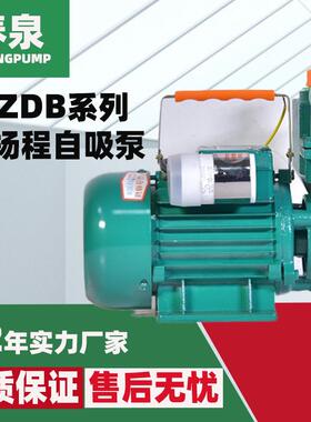 1ZDB35高扬程自吸水泵1ZDB45家用增压水泵家用井水抽水机