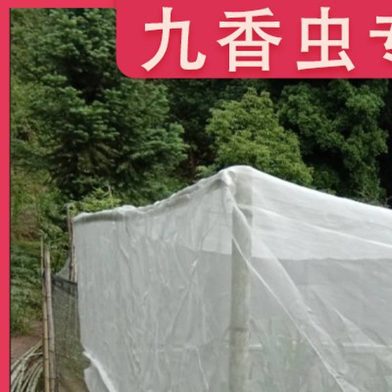 九香虫养殖网方形网罩拱形网罩大棚抗老化农用防虫网