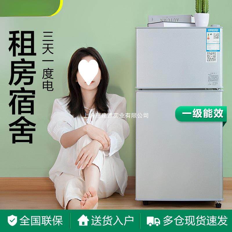 一级能效小冰箱家用小型宿舍出租房小户型办公室迷你单人节能冰箱