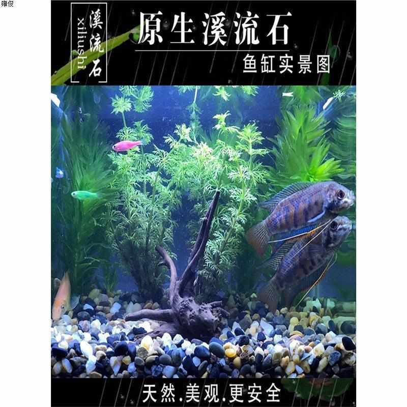 鱼缸底砂造景沙石摆件铺底天然生态溪流石乌龟缸石火山石专新人包