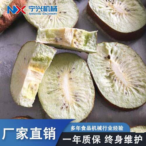 工厂宠物草莓柠檬片真空冻干机200平方大型干燥设备果蔬冻干