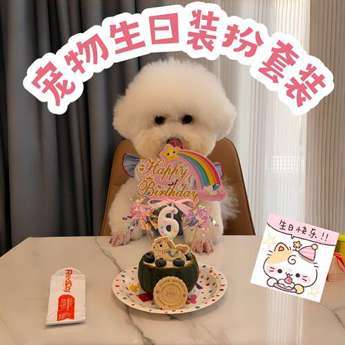 happy birthday!狗狗生日装饰套装宠物生日帽猫咪装饰围兜口水巾