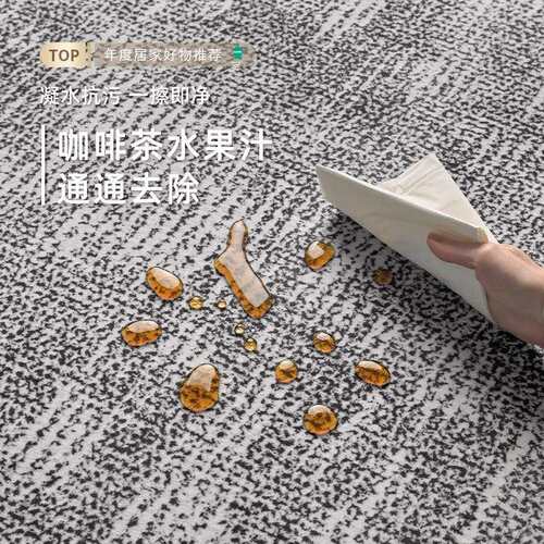 地毯客厅意式极简2025新款防水卧室免洗可擦轻奢高级家用沙发地垫