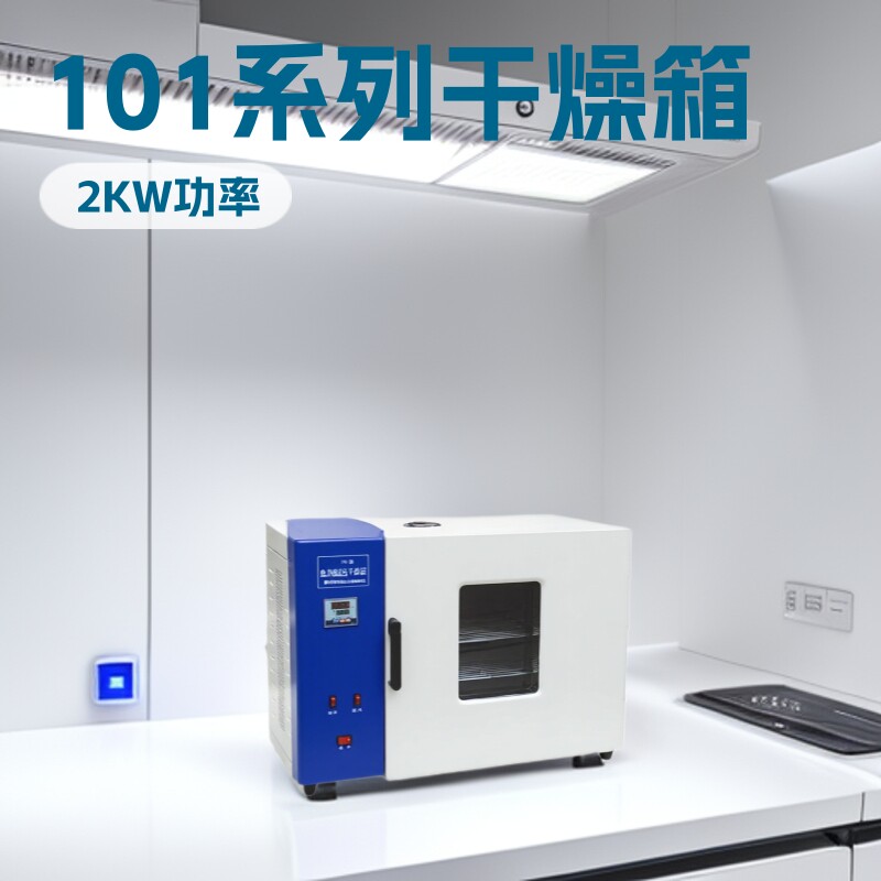 101系列电热恒温鼓风干燥箱