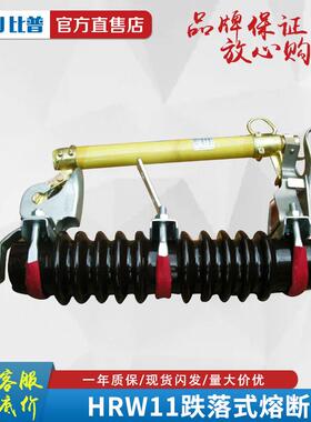 10V跌落式熔断FNU器HR11/100保A/200A户K外高压熔W断器35KV开关险