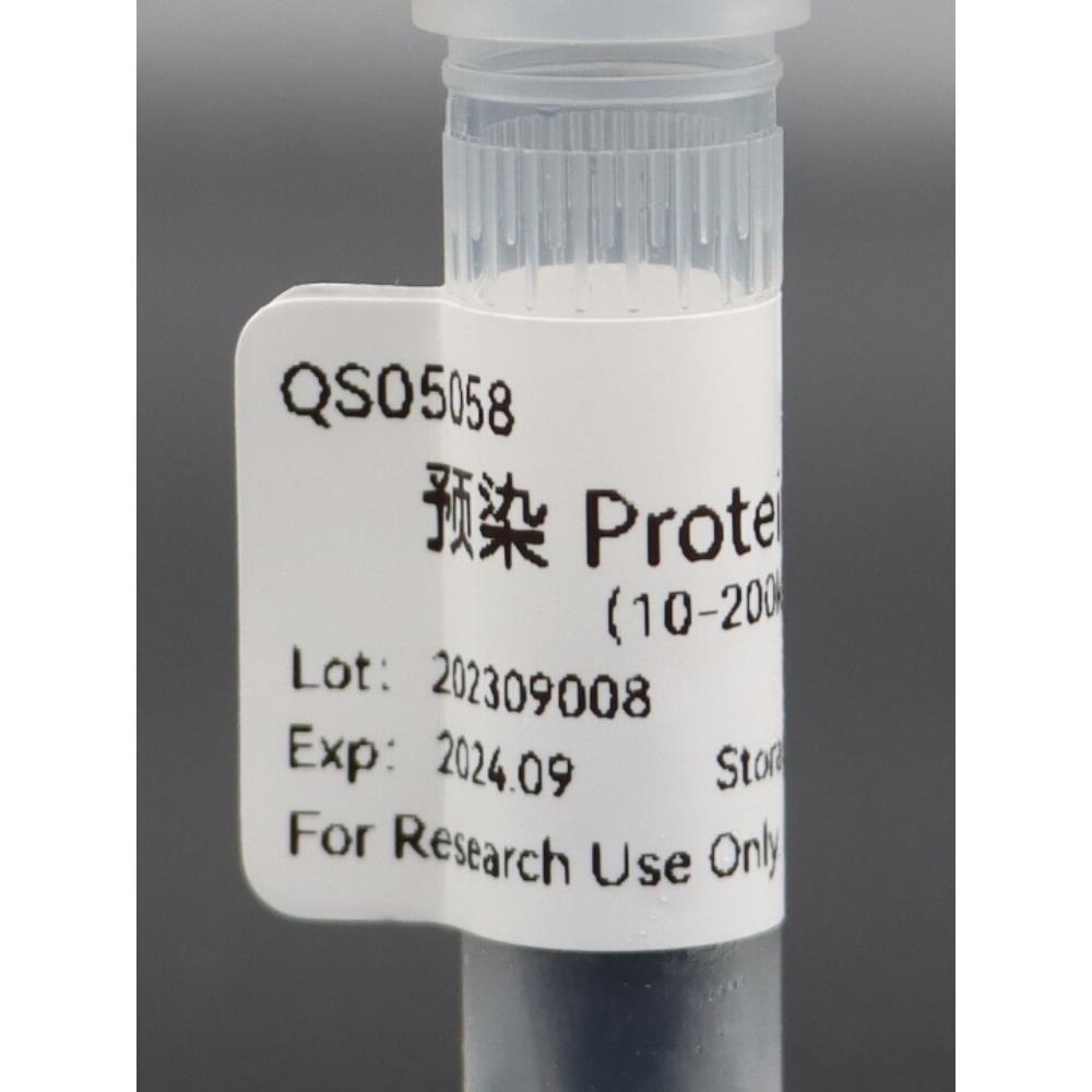 彩色预染蛋白Marker （10-200kDa）和(8-270kDa)