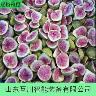 海产品冻干机 鳕鱼大虾冻干机 海参鲍鱼扇贝肉低温冷冻干燥设备