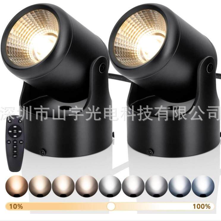 美规2.4G无极调光调色摇头书桌灯RGBW灯2.5米线脚踩开关七彩射灯