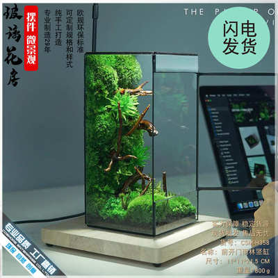 厂家直销几何玻璃花房小型客厅生态桌面造景缸迷你雨林盒苔藓微景