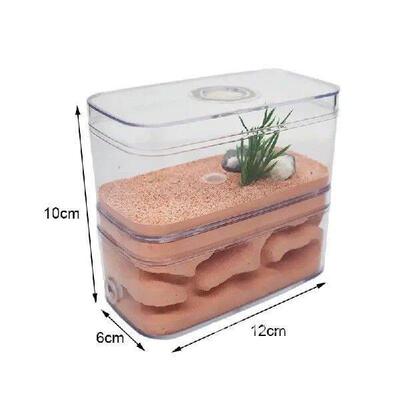 Highly Moisturizing Ant Farm Plaster Ant Nest Insect Box
