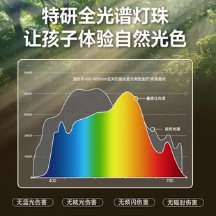 鑫诺仕护眼学习专用台灯儿童卧室床头灯大学生宿舍书桌阅读可充电