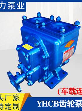 洒水车泵YHCB圆弧齿轮泵油罐车泵尼龙齿轮汽柴油泵自吸泵变频泵头