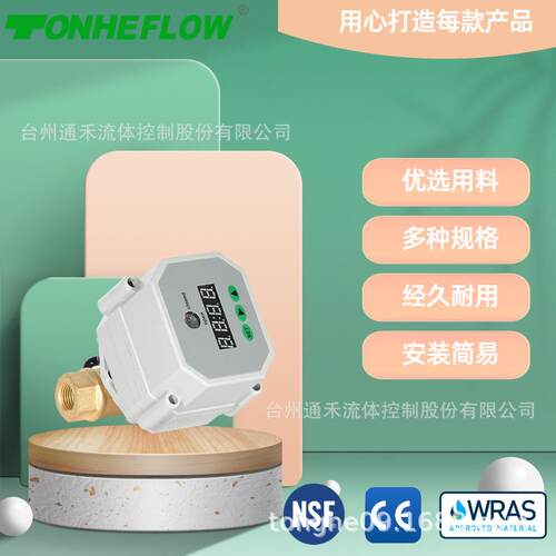 3分微型自动排污阀TONHE不锈钢可定时两通黄铜时间控制阀DN10