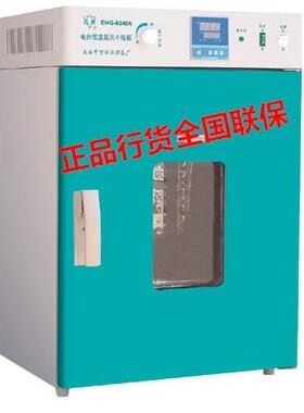 鼓风干燥箱/DHG-9140A电热鼓风干燥箱