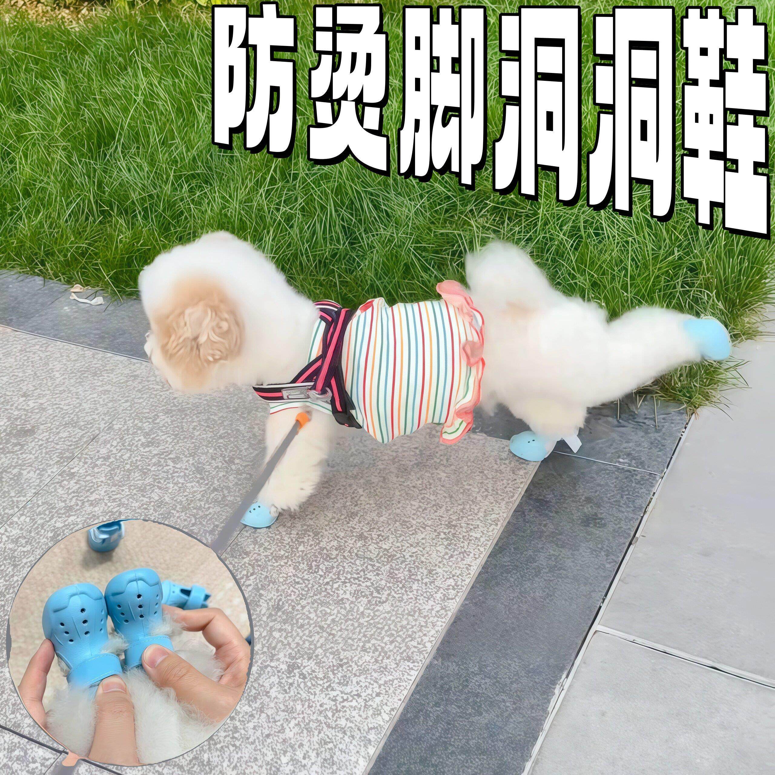 狗狗防烫脚洞洞鞋夏季凉鞋金毛泰迪耐磨透气软底甩不掉防脏脚狗鞋