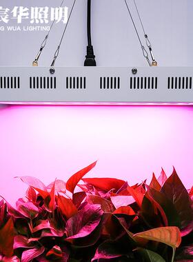 植物灯300W植物物灯光LED植生长灯补灯花草灯鱼缸水EUK草灯