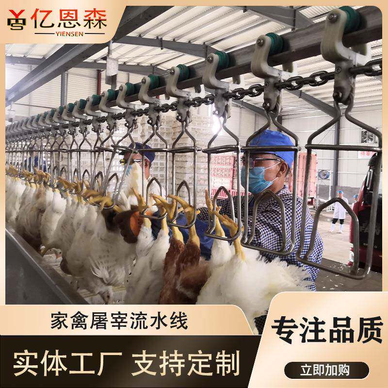 家禽自动脱毛生产线去鹅毛机器小型肉鸡褪毛设备家禽脱毛机