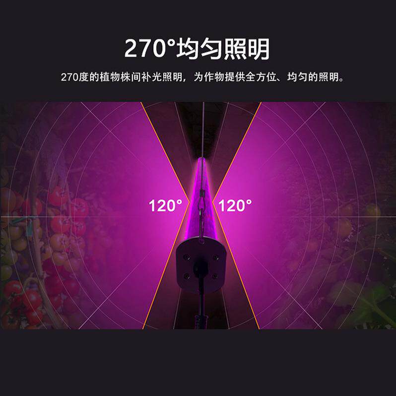 室内植物明IBK长条补形番茄西红柿株照植物灯全光谱防水红蓝光光