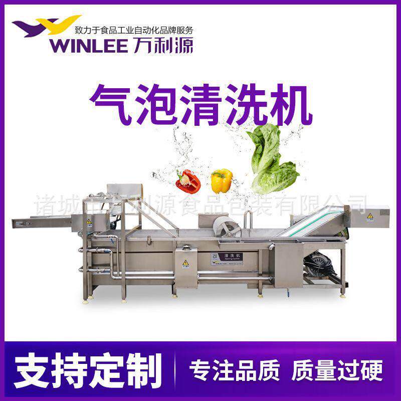 全自动毛辊果蔬清洗机蔬菜清洗设备不锈钢毛刷魔芋清洗机