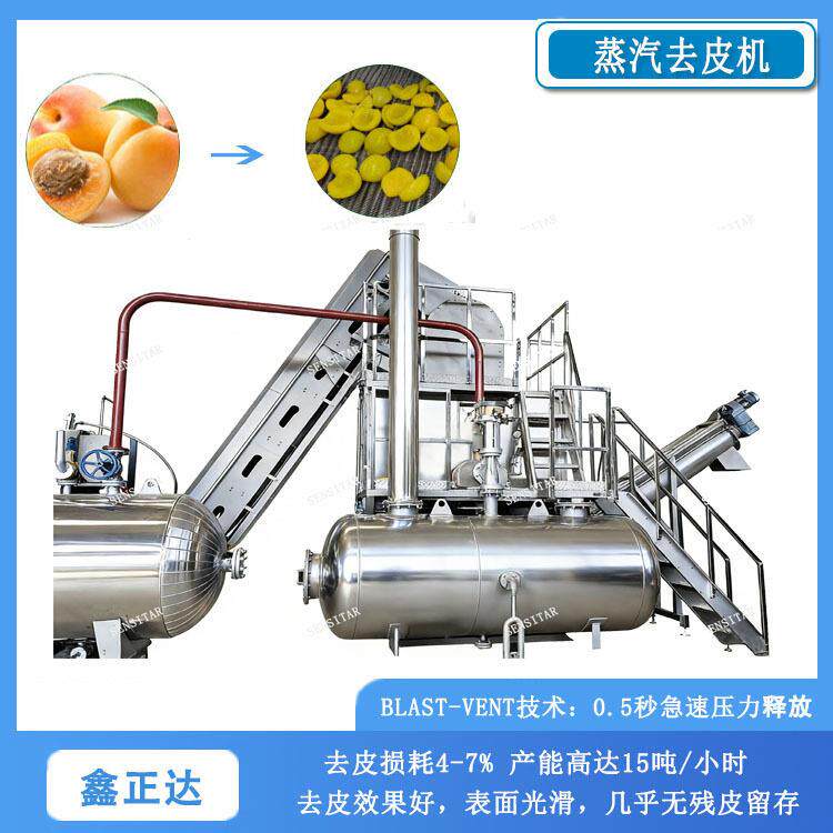 水果头加工去皮设备黄桃葡萄蒸汽去皮机多种产能
