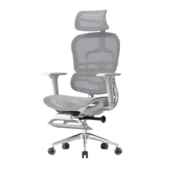 正品 腰E3学00脑椅办公椅子老板椅护电竞 Ergoup有电谱人体工椅FLY