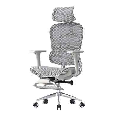 正品Ergup有公谱人体工学椅电FLYo E300电脑椅办椅子老板椅护腰竞