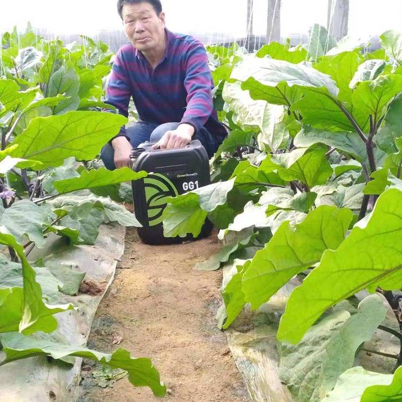 海藻冲精肥 微量元素进口悬浮液体施肥肥海藻生根 中水溶厂家直销