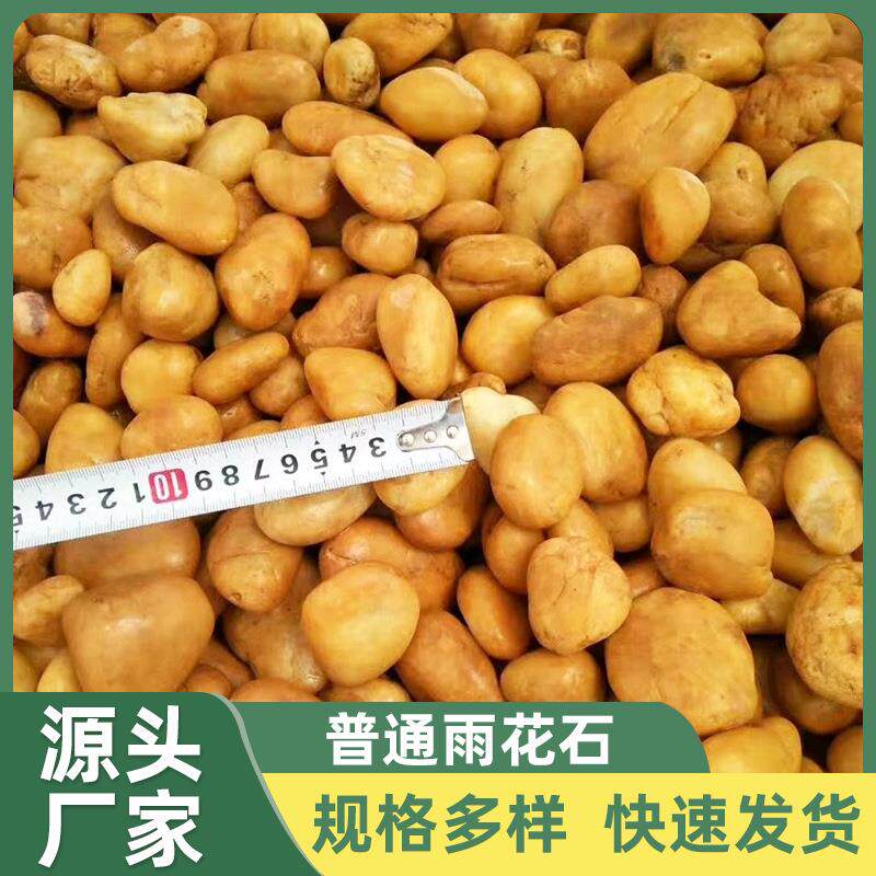 海口黄色鹅卵石雨花石原石铺地庭院花园造景鹅软卵石天然石头