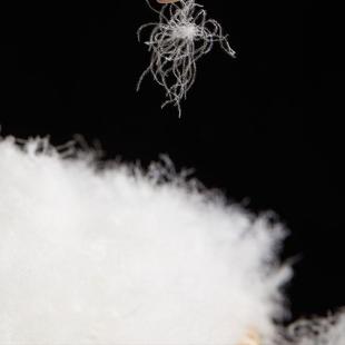 鸿泰白羽绒厂家直料销服95鸭绒高RTI蓬松高清洁装羽绒被原材零售