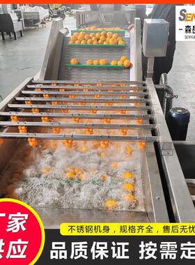 商用果蔬气泡清洗机杏干气泡清洗机风干机果脯气泡翻浪清洗机厂家
