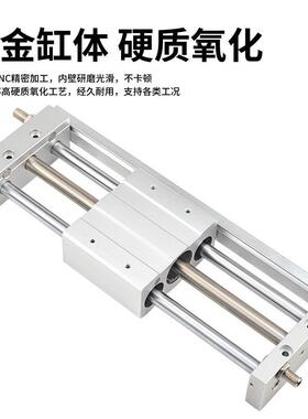 Y12L10/20/25/3HC-100 20CY1L0 3000 400 500 600 80磁偶式无杆气