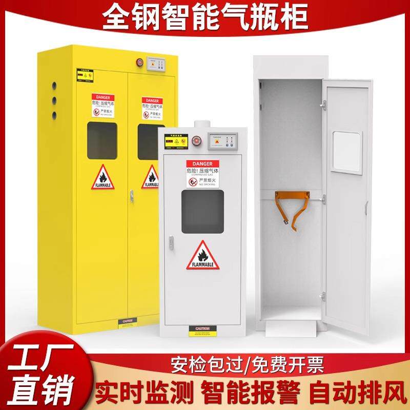 全钢防爆气瓶柜安全柜实验室双瓶煤气罐乙炔氮气氢气体钢瓶储存柜