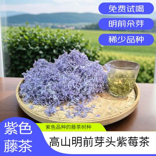 茶叶恩施藤茶紫玉莓茶紫藤湖北恩施源头厂家支持