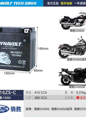 轻骑大韩骁胜晓星电瓶GV300GV250GT650R坦影250大脚怪猛狮蓄电池