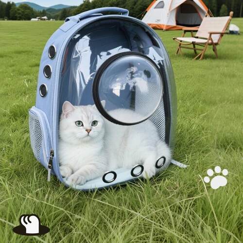 猫包外出便携包双肩背包太空舱透气猫书包大容量猫咪宠物用品出行