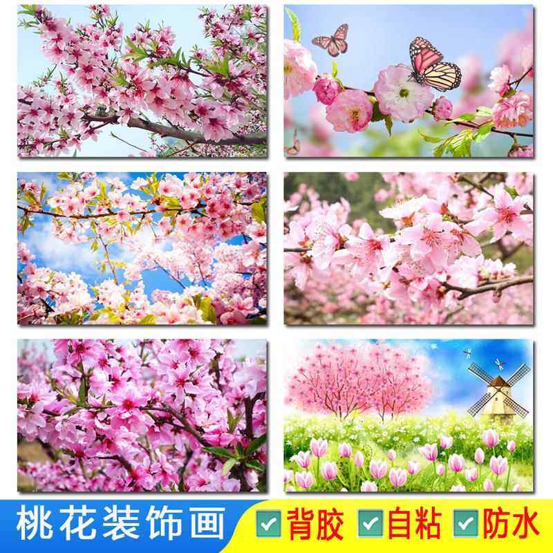 桃花大海报贴画花店装饰漂亮风景春天花朵粉色背景墙贴纸卧室贴画,个性定制/设计服务/DIY,写真/海报印制,淘宝优惠券,粉丝福利购,淘宝优惠卷