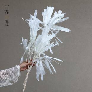 白色干花奶油风真花花束摆件装饰宿舍蓬莱松龙须草粉黛满天星棉花