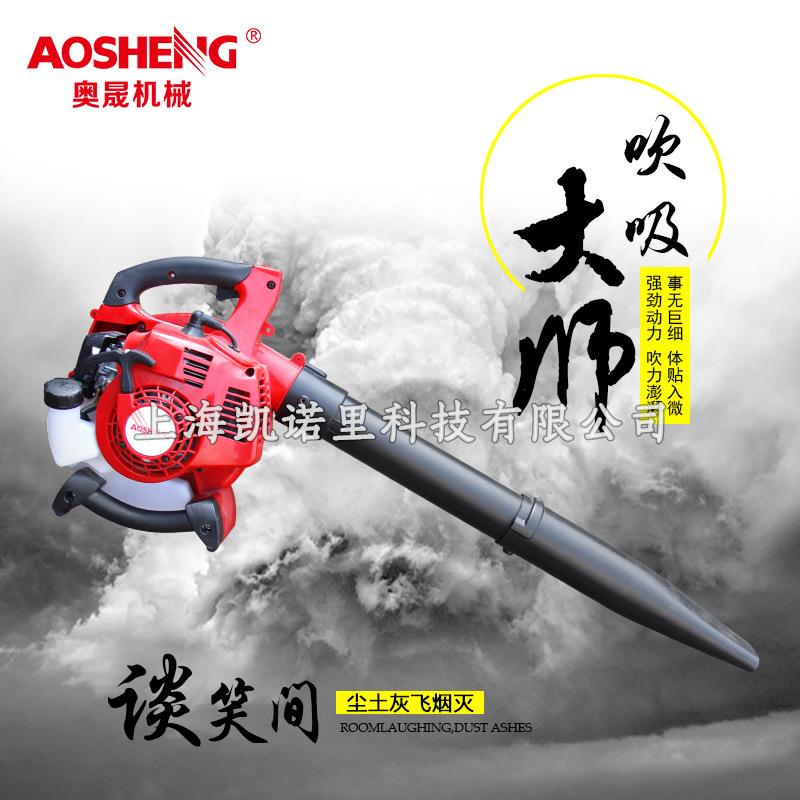 奥晟EBV260吹风机清灰尘器家用吸尘器吹吸两用清扫机马路吹风机械