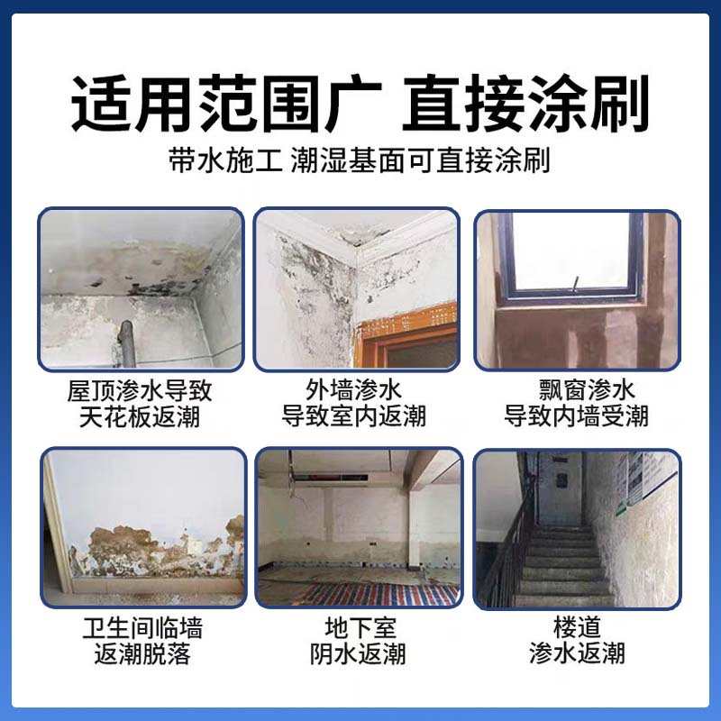 背水面防水材料内墙漏水反碱型背水压抗渗防水涂料地下室潮湿治水