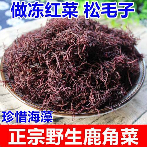 珍稀海藻南澳赤菜红菜鹿角菜 做冻福安松毛子杂菜海藻菜
