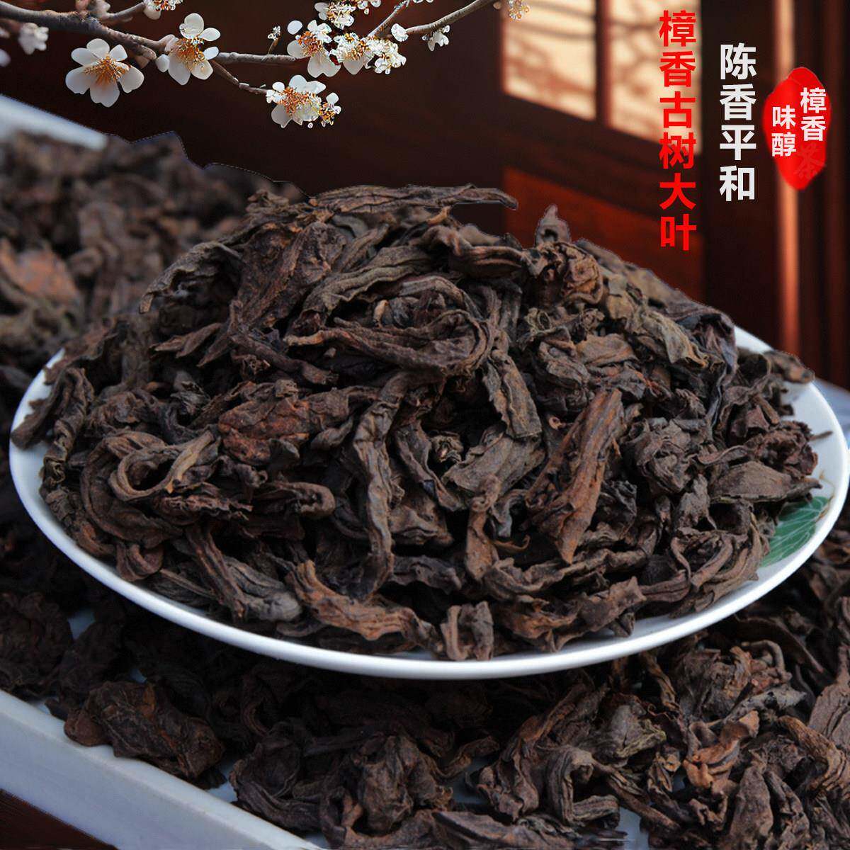 樟香古树大叶 樟香普洱茶熟茶 散茶500克 大叶七级 回甘强味浓
