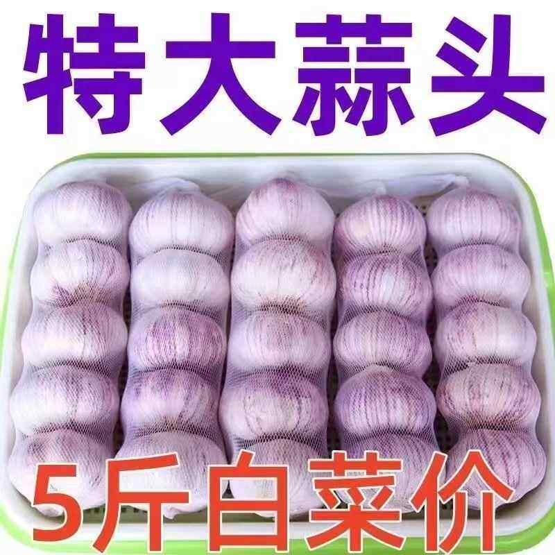 山东24年特大优质蒜干蒜金乡皮大蒜头特级紫皮新干蒜新鲜干大蒜